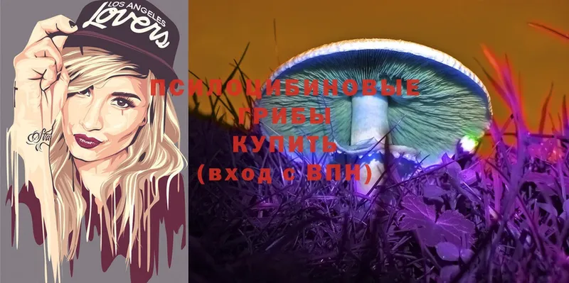 где найти наркотики  Алупка  блэк спрут tor  Псилоцибиновые грибы MAGIC MUSHROOMS 